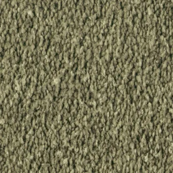 Vorwerk Alba 4H84 grün – Draufsicht Velours Teppichboden 4 m breit